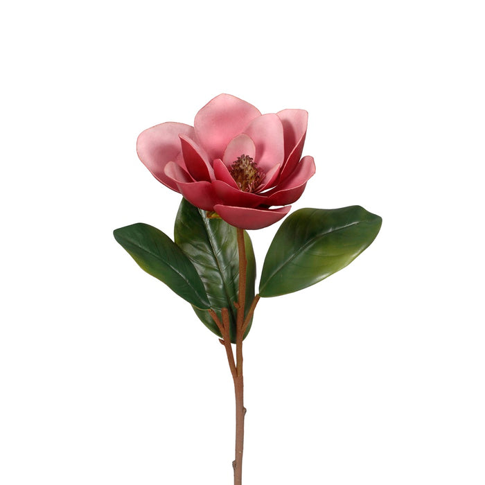 Magnolia w/Leaves - Fuchsia