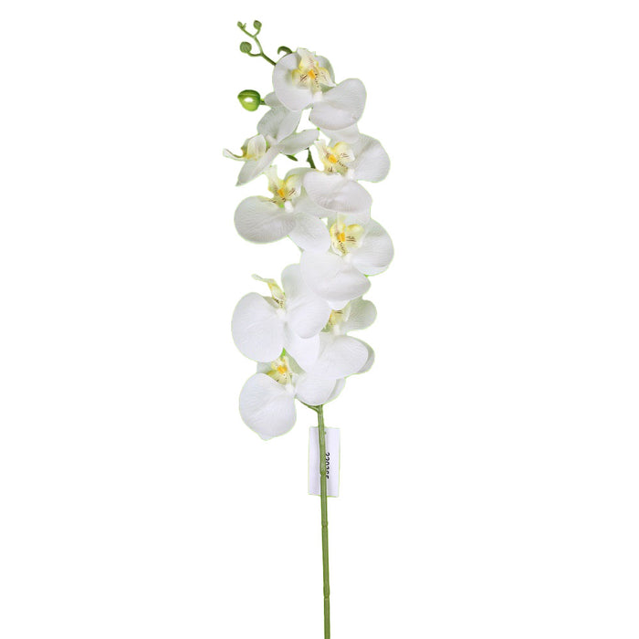 34 in Phalaenopsis Spray - White