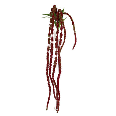 48 in Amaranth Spray - Red