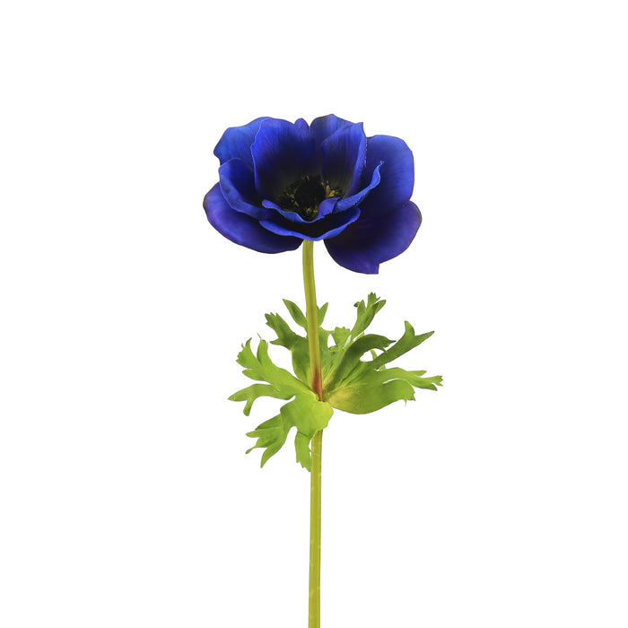 17.5" Poppy Anemone - Blue