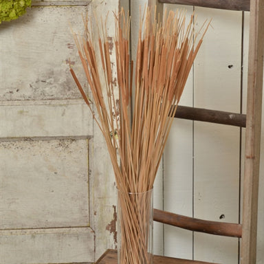 Pencil Cattails - Light Brown