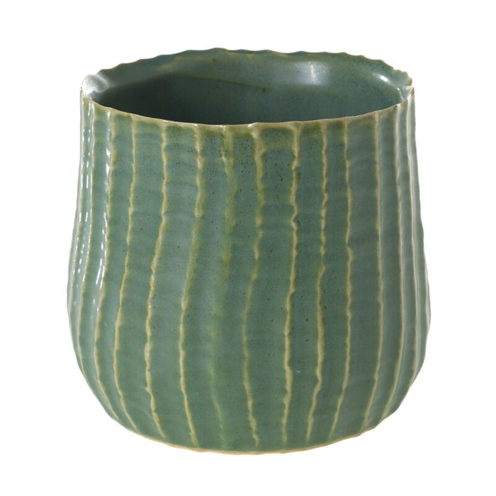 Palmero Collection