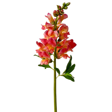 23" Snapdragon - Orange