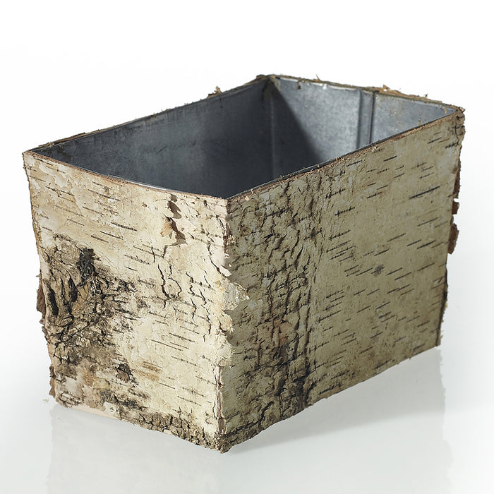 Birch Collection with Zinc