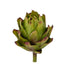 4 in Artichoke - Green/Purple