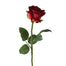 22" Standard Red Rose