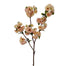 41 in Peach Blossom Spray - Light Peach