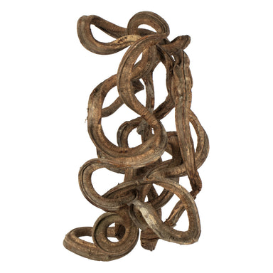 13 in Natural Coiled Vine