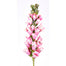 32" Foxglove Stem - Pink