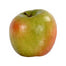 3 in Golden Delicious Apple - Mauve/Green