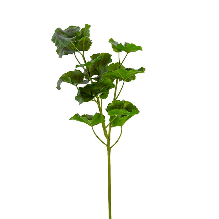 31 in Geranium Leaf Spray