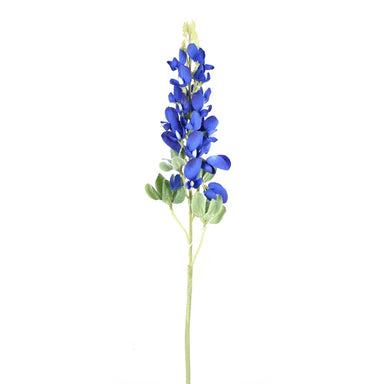 18 in Blue Bonnet Stem