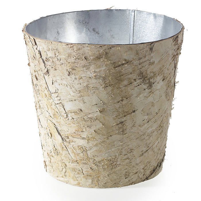 Birch Collection with Zinc