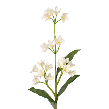 Polyester Plumeria - White/Yellow