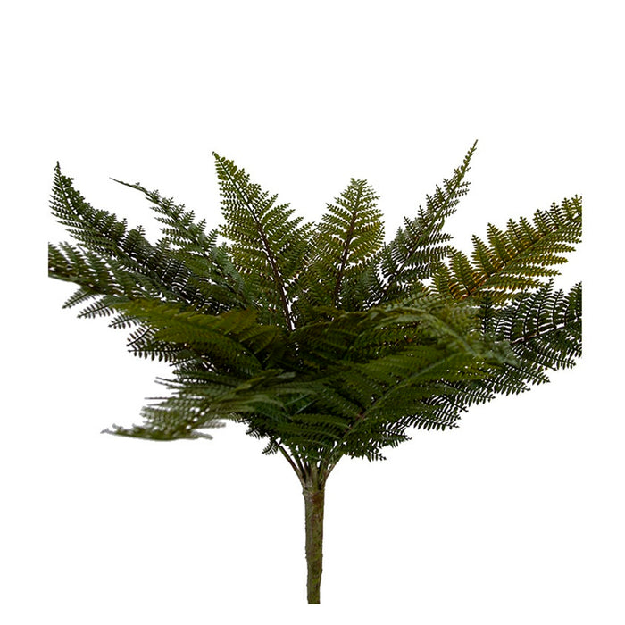 22 in Totara Fern Bush - Variegated Green