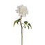 20" Dutchess Rose Open Short Stem - White