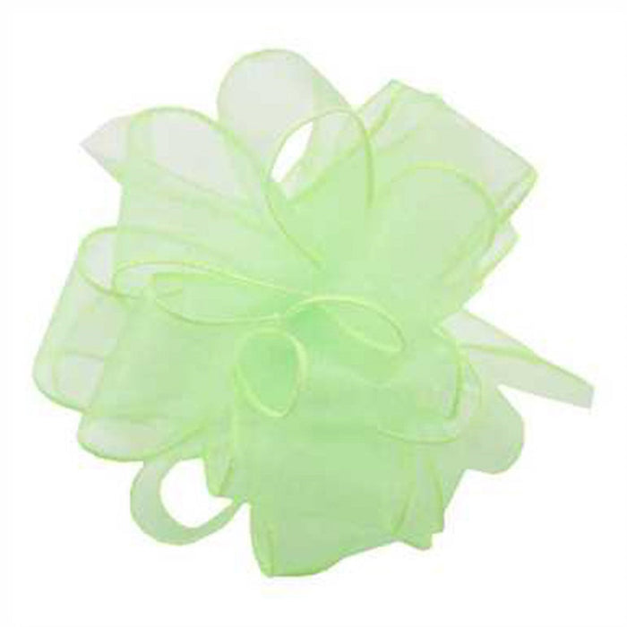 #9 DWI Sheers Ribbon