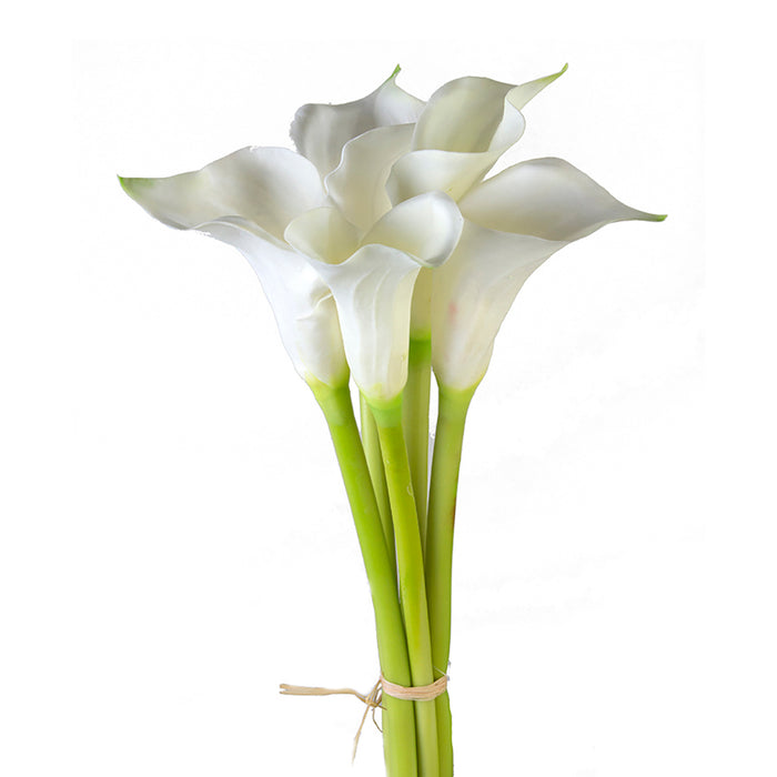 Large Calla Lily Bundle