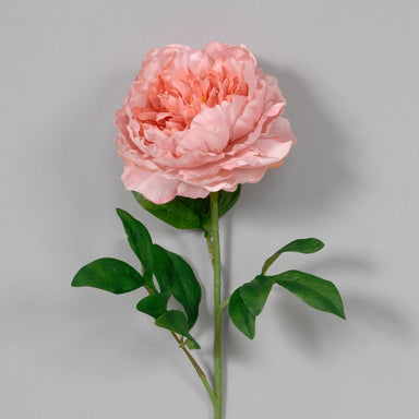 28" Polyester Large Cabbage Peony - Pastel Pink