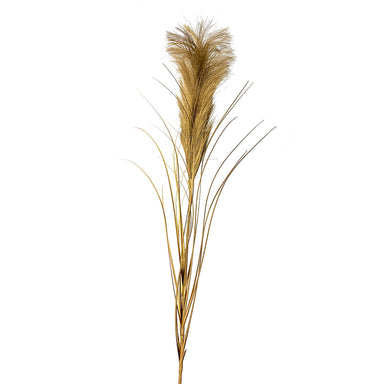 Metallic Plume/Onion Grass Spray - Gold