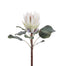 23.5" King Protea - White