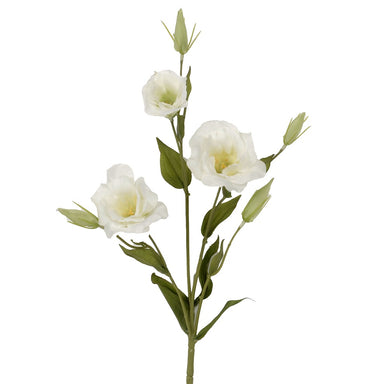 30 in Polyester Lisianthus