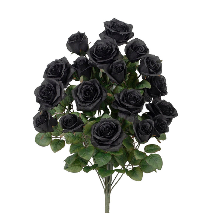 Grandiflora Rose Bush