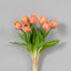 13" Darwin Tulip Bundle - Pink