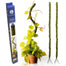36 in Bendy Moss Pole (2/Pack) - Fresh Green