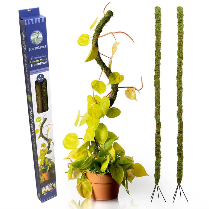 36 in Bendy Moss Pole (2/Pack) - Fresh Green