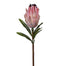 29" Mink Protea - Pink