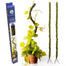36 in Bendy Moss Pole (2/Pack) - Fresh Green