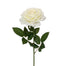 25 in Polyester Rose - Cream