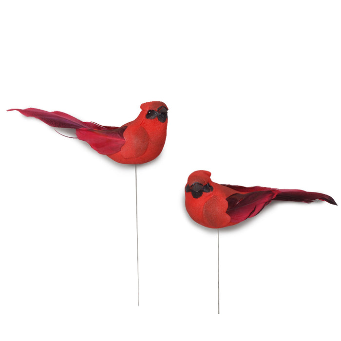 Feather Cardinal - Assortment of 2