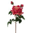 22" Candy Stripe Rose - Peach/Red