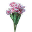 21 in Polyester Rubrum Lily Bush - Cream