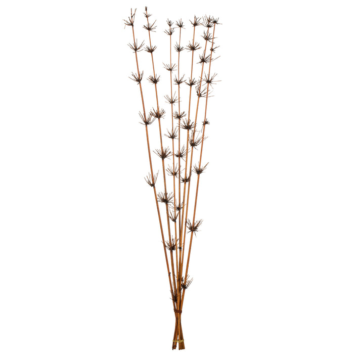 36-40 in Brown Star Bamboo Reed (7 Stem Bunch)