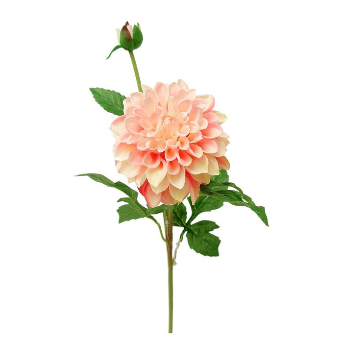 24 in Garden Dahlia w/Bud - Peach/Cream