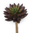 6 1/2" Succulent Pick - Burgundy