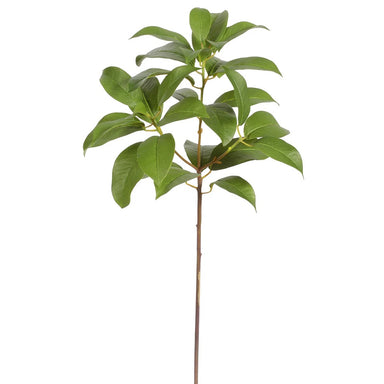 23 in Laurel Leaf - Green