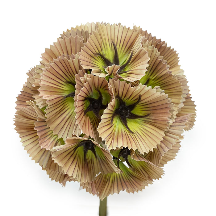 22" Scabiosa Pod - Brown/Green