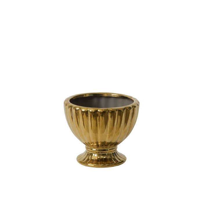 6 in Coronation Compote - Gold