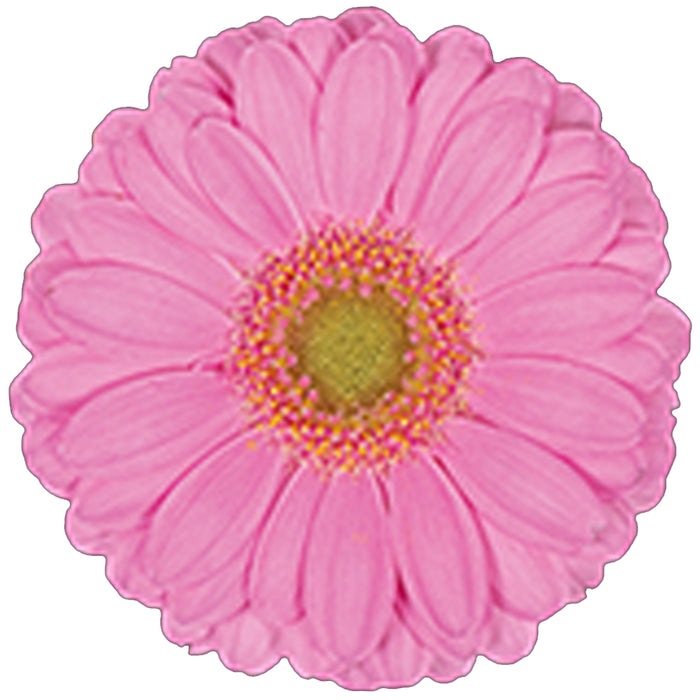 Germini Pink Love Me