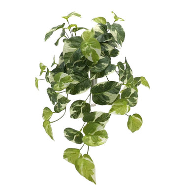 20 in UV Marble Pothos Hanging Bush - Variegated