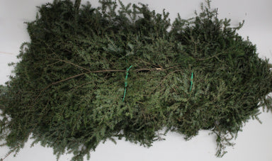 Hemlock Bale - Northern Greens