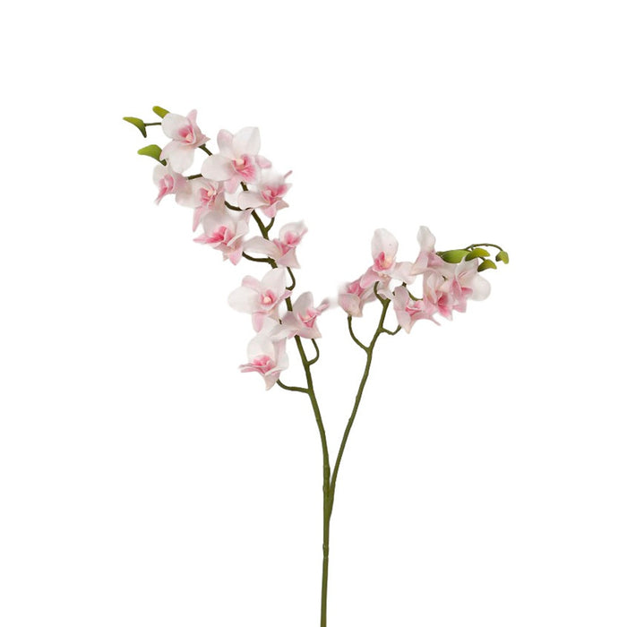 36 in Dendrobium Spray - Pink