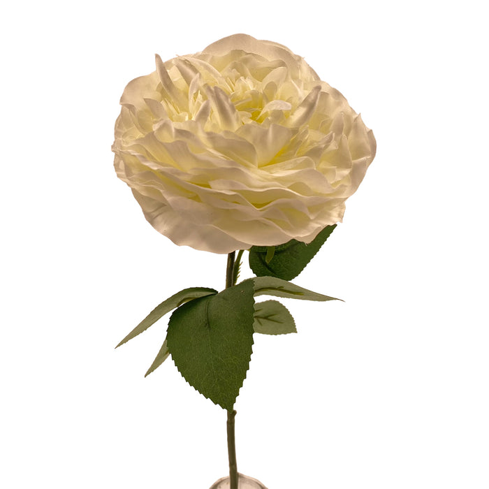 20" Rose Stem - White