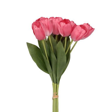 15" Tulip Bunch Tied w/Raffia - Hot Pink