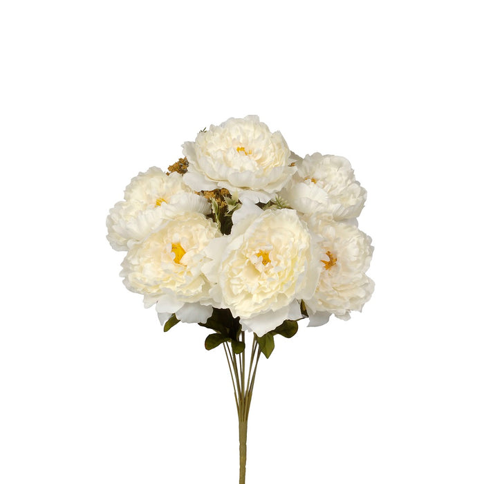 Peony Bush & Filler - Cream