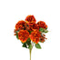 Rose/Hydrangea/Berry Bush - Orange/Rust